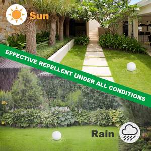 <span class=keywords><strong>Huile</strong></span> essentielle naturelle d'usine <span class=keywords><strong>huile</strong></span> de menthe poivrée biologique 12pk boule répulsive pour <span class=keywords><strong>chat</strong></span> protégeant les meubles d'intérieur et d'extérieur - Product Image 6