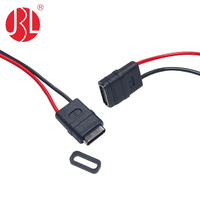 Câble de connecteur USB de type C à montage sur panneau USB de haute qualité avec connecteur femelle à 2 broches