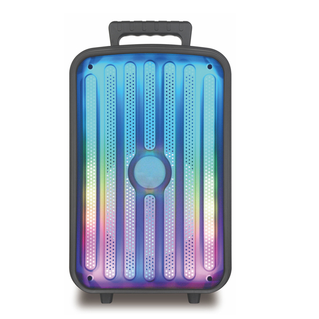 8 Inch TWS Function Family DJ LED USB Portable Party  Karaoke Speaker With Mic