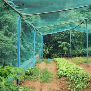 Malla Rectangular Tejida de HDPE para Agricultura, Anti-Pájaros, Blanca, para Atrapar Aves, para Árboles Frutales, Viñedos y Uso Agrícola - Product Image 5