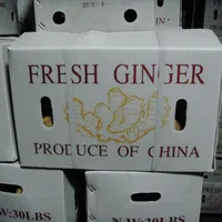 Sinofarm Ginger Processing Plant, Fresh Ginger Supplier