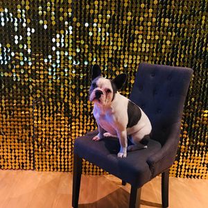 Wholesale Fashion Wedding Decoration Backdrop <strong>Sequin</strong> <strong>Wall</strong> <strong>Sequin</strong> Shimmer <strong>Wall</strong> <strong>Panel</strong> - Product Image 4