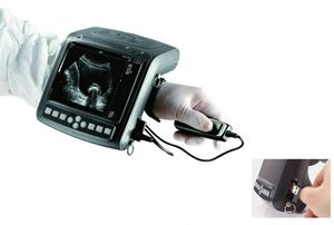 Vétérinaire Kaixin 5200 KX5200 Machine USG portable portable pour le diagnostic des animaux vache <span class=keywords><strong>cheval</strong></span> - Product Image 3