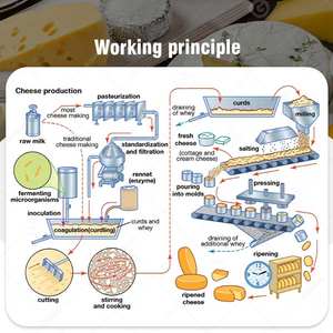 Línea de producción de tamaño pequeño de 50 litros 200l 20000 litros Mascarpone <span class=keywords><strong>Halloumi</strong></span> <span class=keywords><strong>Cheese</strong></span> Make Press of Machine - Product Image 5