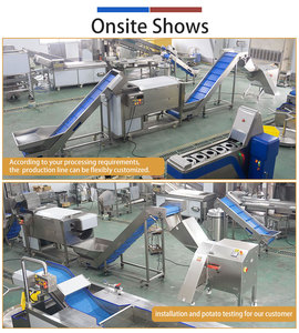 Ligne de lavage, d'épluchage et de découpe de pommes de terre FENGXIANG 700-1000 kg/h 380V Machine industrielle de transformation des pommes de terre en acier inoxydable - Product Image 3
