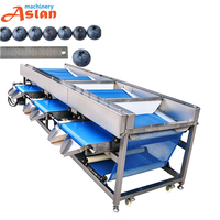 Machine de tri et de calibrage des fruits de myrtille pour usage agricole et industriel