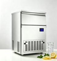 Machine à glaçons carrés commerciale avec compresseur, production de 135 kg/24h, haute précision, automatique, stockage de 45 kg de glace, puissance de 618W, 220V/110V
