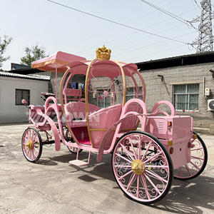 Real novia y novio boda foto entrada perro Cenicienta calabaza carruaje con aire acondicionado princesa carruaje de juguete - Product Image 5