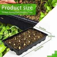 XiMan 128 200 cellules plateaux de semis Plateau de démarrage de graines de pépinière en plastique PS noir avec plateau de plantes en dôme pour la culture de semis