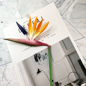 Wholesale <b>Artificial</b> Bird of Paradise Flower 9 Colors Tropical Floral <b>Stem</b> Hotel Cafe Wedding Table Arrangement Supply - Product Image 4