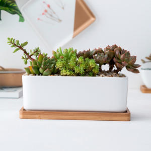 <span class=keywords><strong>Pot</strong></span> <span class=keywords><strong>rectangulaire</strong></span> en céramique blanche <span class=keywords><strong>pour</strong></span> plantes succulentes avec plateau en <span class=keywords><strong>bambou</strong></span> - Product Image 3