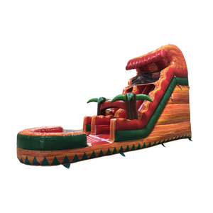 Trượt nước Inflatable với hồ bơi dành cho người lớn kích thước nhỏ Tikes ướt hoặc khô trượt Inflatable - Product Image 4