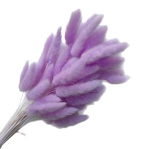 Hierba de Cola de Conejo, Flores Secas y Preservadas, Decoración Floral Nórdica para el Hogar, Arreglos Florales Hechos a Mano, Materiales Florales para el Día de la Madre - Product Image 6