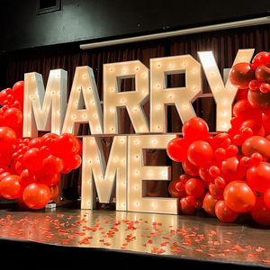 Letras <span class=keywords><strong>Mr</strong></span> y Mrs, Led gigante de Metal para puerta, fabricante de señal profesional, señal de marquesina - Product Image 6