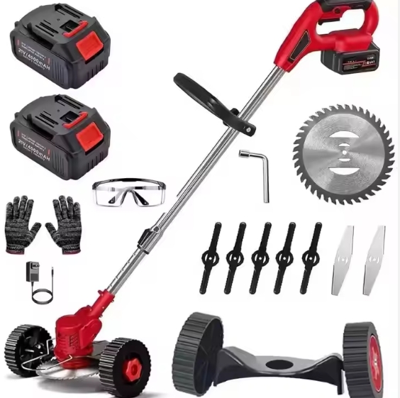 Rouge Deux batteries et un chargeur