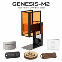 Marqueur laser double M2 200x200mm pour marquage couleur, gravure d'étiquettes d'identification pour animaux de compagnie et de plaques de récompense, vente en gros directe usine