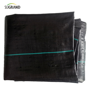 <span class=keywords><strong>Filet</strong></span> en plastique imperméable pour Agriculture, tapis barrière contre les mauvaises herbes, tissu noir, tapis de protection contre la poussière, couverture de sol - Product Image 6