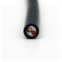 Cable Eléctrico Impermeable Paide PDK81301 de 2 Núcleos, 18AWG, Cobre Desnudo, Aislamiento de PVC, Cubierta de TPU, Negro, para Equipos Subacuáticos