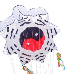 Logiciel de <span class=keywords><strong>cerf</strong></span>-<span class=keywords><strong>volant</strong></span> en nylon de haute qualité résistance au vent et à l'abrasion pour un décollage facile des sports de loisirs en plein air - Product Image 1