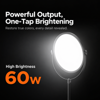 Panneau lumineux LED noir pour photographie et vidéo, idéal pour studio, portraits, enregistrement vidéo, diffusion en direct et créateurs de contenu