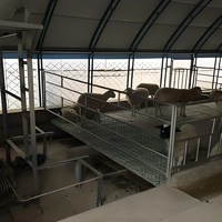 Poulailler mobile Hangar à poulets de chair Maison mobile en plastique Verre Serre agricole pour l'élevage de volailles et de poulets