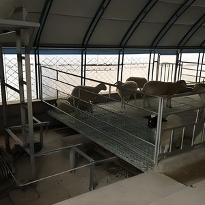 <span class=keywords><strong>Poulailler</strong></span> mobile Hangar à poulets de chair Maison mobile en plastique Verre <span class=keywords><strong>Serre</strong></span> agricole pour l'élevage de volailles et de poulets - Product Image 2