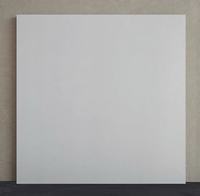 Baldosa de Porcelana Esmaltada 600x600 800x800mm Resistente a Ácidos Antibacteriana CE