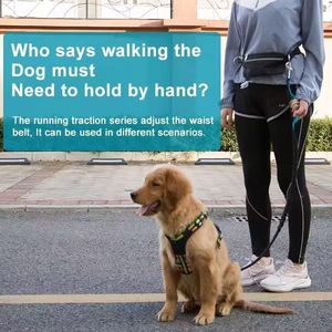Correa Acolchada con Diseño Sólido para Perros Grandes, Correa de Tracción Doble Resistente para Correr y Caminar, Correa Retráctil para Perros - Product Image 2