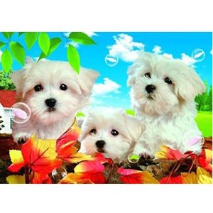 ภาพโลมาแบบเลนติกูลาร์ 3 มิติ 5 มิติ ความละเอียดสูง สีดำ พร้อมกรอบ PS - Product Image 6