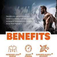 Kapsul Turkesterone Tongkat Ali Suplemen Stamina Otot Ramping Pendukung Pemulihan Otot Pil Ekstrak Herbal Kapsul