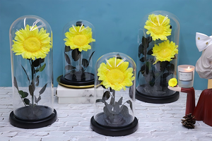 Dôme en verre avec tournesol préservé et base noire, fleur éternelle à tige entière, cadeau pour anniversaire, remise de diplôme, nouvelle maison - Product Image 2