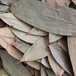 <span class=keywords><strong>Feuilles</strong></span> <span class=keywords><strong>de</strong></span> <span class=keywords><strong>Laurier</strong></span> Fraîches <span class=keywords><strong>de</strong></span> Qualité Supérieure Entières - Product Image 2