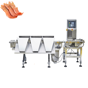 Clasificadora de Camarones, Línea de Procesamiento de Mariscos, Clasificadora de Langostinos, Máquina de Lavado y Clasificación de Camarones, Máquina de Clasificación de Pescado por Tamaño - Product Image 5