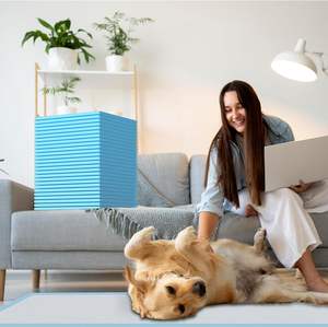 50 штук: Непромокаемые и супервпитывающие пеленки для собак, утолщенные одноразовые пеленки для приучения щенков к туалету, для использования в помещении и на улице - Product Image 6