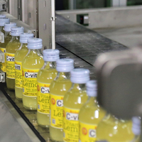 Volledig automatische productielijn voor het bottelen, vullen en afsluiten van fruitsap in glazen flessen