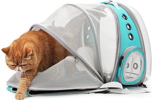 Mochila transparente para gatos, bolsa de burbujas para perros pequeños, cápsula espacial - Product Image 2