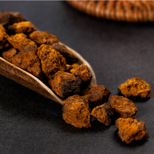 Hua <span class=keywords><strong>Shu</strong></span> <span class=keywords><strong>Rong</strong></span> : Épices Chaga en cubes très demandées, herbes chinoises de haute qualité, produits naturels pour la santé, idéales pour l'assaisonnement - Product Image 1