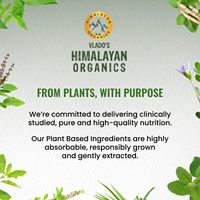 Constructeur de glutathion de produits organiques de l'Himalaya avec un soutien antioxydant de curcumine de vitamine C E B6 pour une jeunesse anti-âge