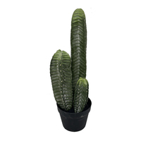 Cactus artificiel réaliste Enhao Dragon Phoenix, en plastique écologique, haute simulation, fausse succulente haute pour le bureau