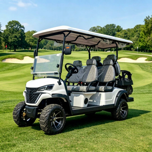 Voiturette de golf 6 places 72V, carrosserie moulée par injection intégrale, suspension indépendante, propulsion arrière, pour visites touristiques, CE, 80 km d'autonomie - Product Image 1