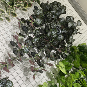 Plantes artificielles murales Begonia, vigne de patate douce à 5 branches, verdure pour la décoration intérieure du salon - Product Image 4