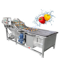 Meilleure vente laveuse commerciale d'oignons, manioc, gingembre équipement de lavage de fruits et légumes machine à laver et à éplucher les carottes et les pommes de terre