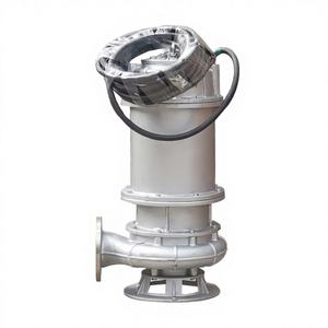 Bomba Sumergible para Aguas Residuales de Acero Inoxidable con Motor de CA Trifásico, Flujo de 100 m/h, Altura de Bombeo de 30 m, Uso Industrial y Minero, Diseño Técnico Gratuito - Product Image 1