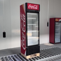 Réfrigérateur Congélateur Sous Zéro Comptoir Portes Courbes Cryogénique Autonome Acier Inoxydable