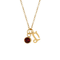 Collier pendentif en acier inoxydable plaqué or 18 carats de haute qualité, zircon, étanche, 12 signes du zodiaque, runes, cadeau tendance, bijoux
