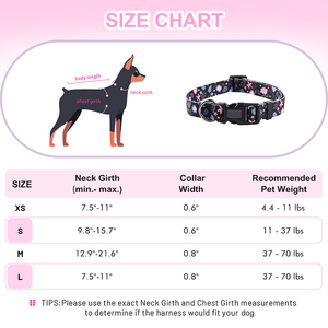 Hot Sale 5 Arten Haustier zubehör Hunde geschirr und Leine Set Hunde halsband mit Poop Bag Holder LED Hunde halsband Licht Zubehör - Product Image 3