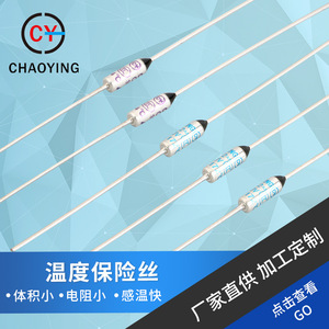 Fusible à cartouche Superwin 10A 40-160C, fusibles métalliques à câble long pour appareils électroménagers - Product Image 5
