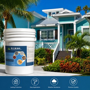 Pittura Acrilica Impermeabile per Esterni e Interni: <span class=keywords><strong>Rivestimento</strong></span> <span class=keywords><strong>Decorativo</strong></span> per Pareti con Design a Colori - Product Image 1