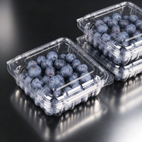 Kotak Plastik PET Grosir untuk Blueberry, Model Clamshell Transparan 125g, Wadah Buah untuk Kemasan Raspberry dan Mulberry Segar