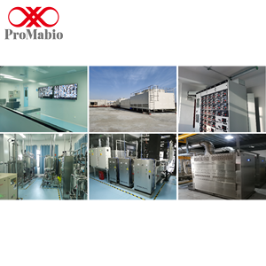 Усовершенствованный набор для количественного определения белка BCA (500 тестов, чистота 99%) для точного измерения концентрации белка в лабораторных условиях - Product Image 3